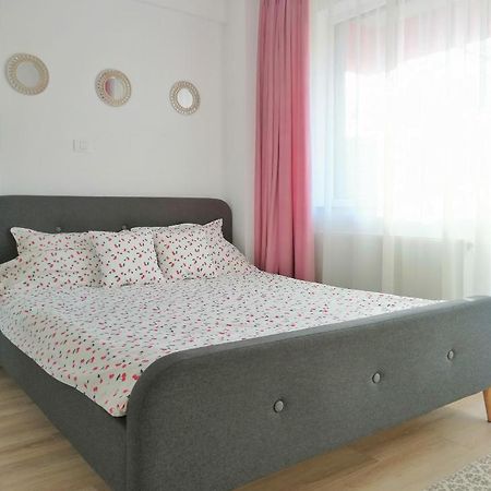 Cozy Apartment Bujorilor Suceava Extérieur photo