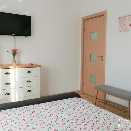 Cozy Apartment Bujorilor Suceava Extérieur photo