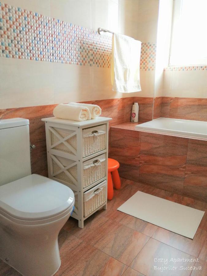 Cozy Apartment Bujorilor Suceava Extérieur photo