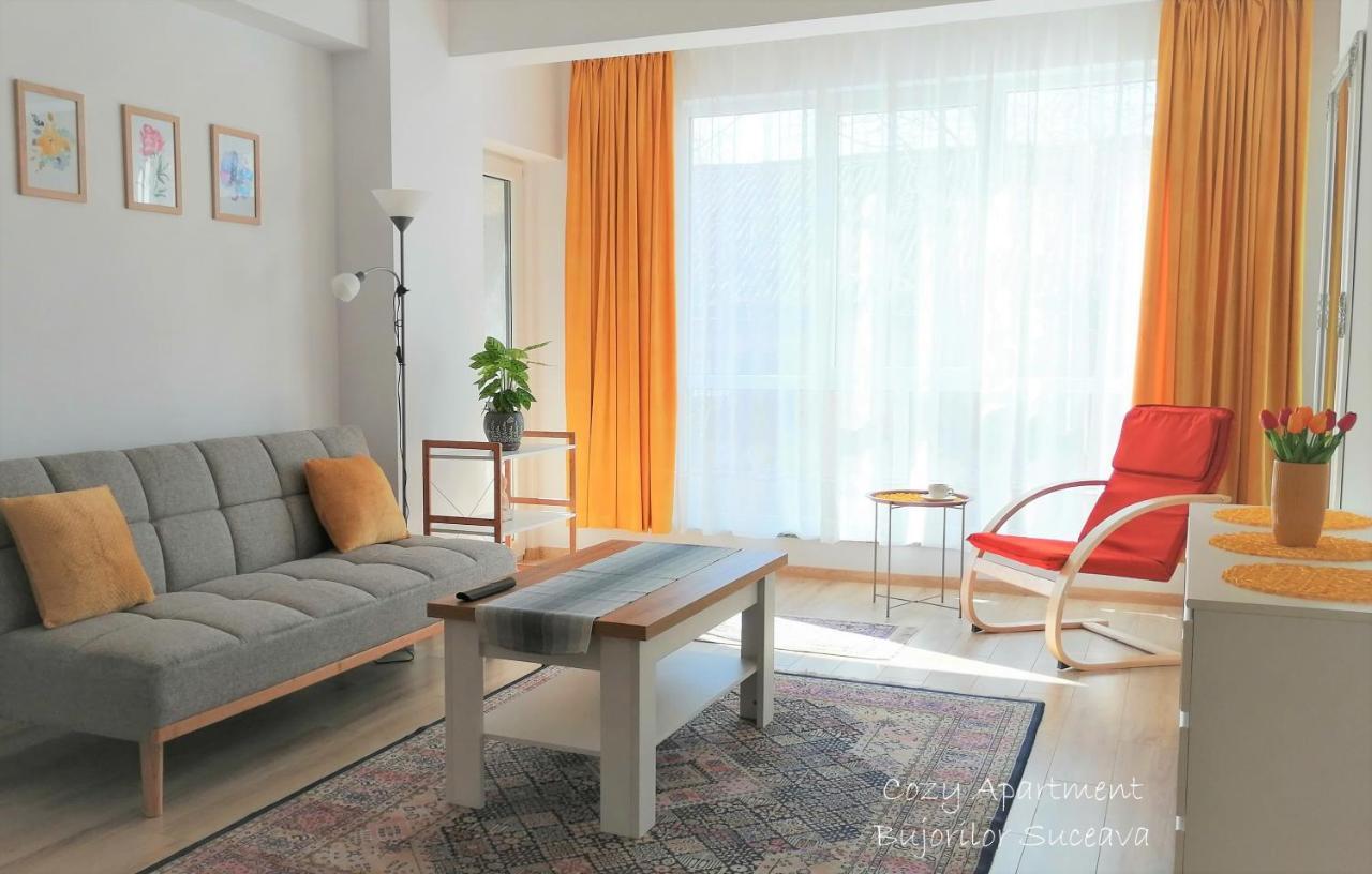 Cozy Apartment Bujorilor Suceava Extérieur photo