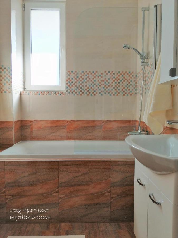 Cozy Apartment Bujorilor Suceava Extérieur photo