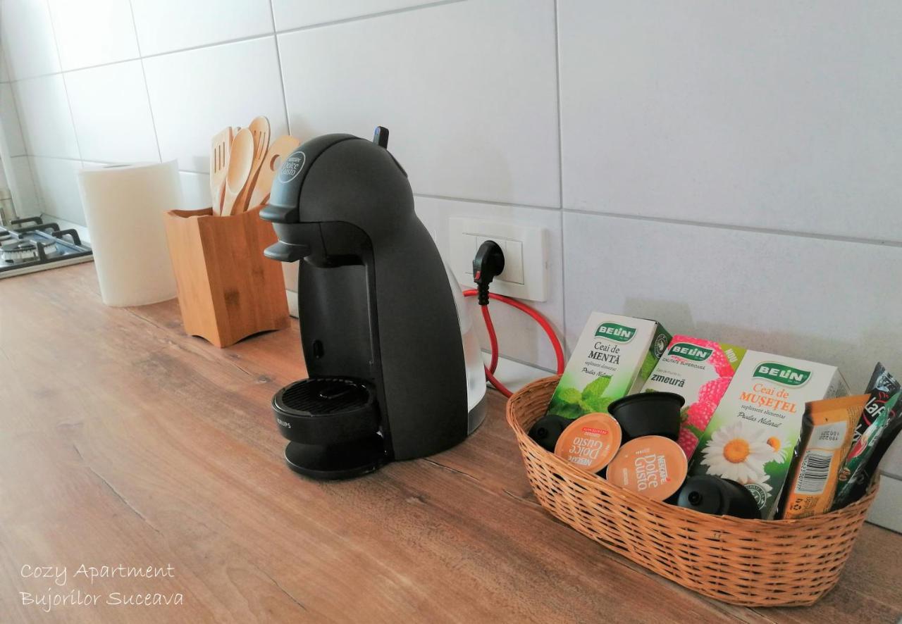 Cozy Apartment Bujorilor Suceava Extérieur photo