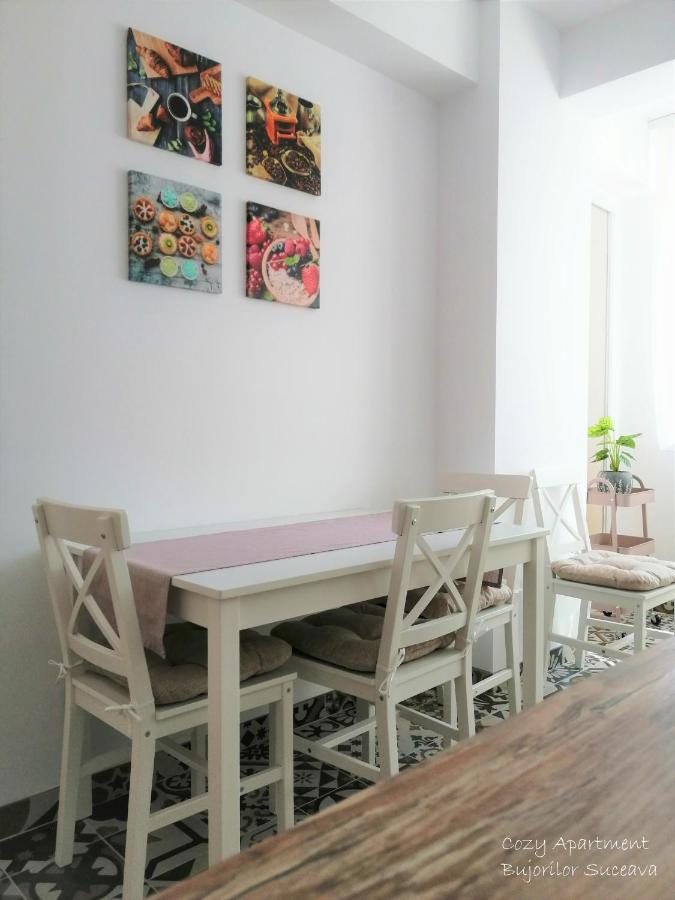 Cozy Apartment Bujorilor Suceava Extérieur photo
