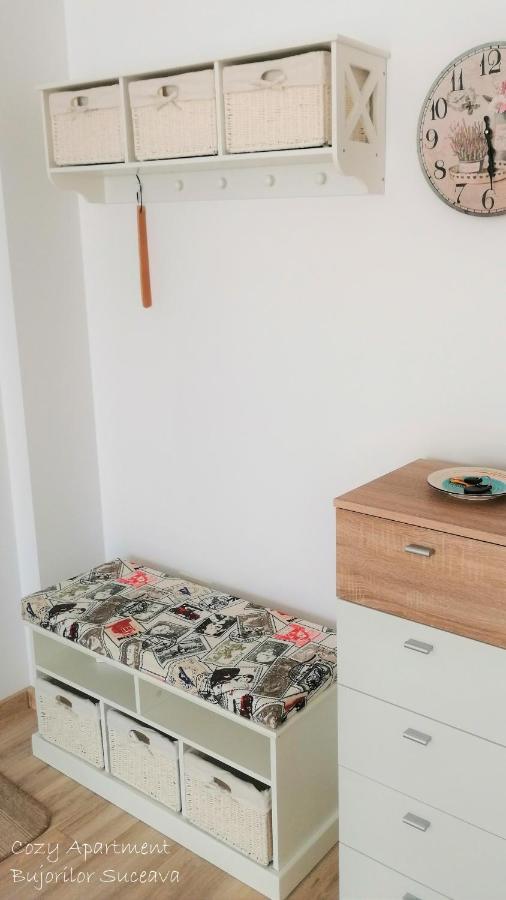 Cozy Apartment Bujorilor Suceava Extérieur photo