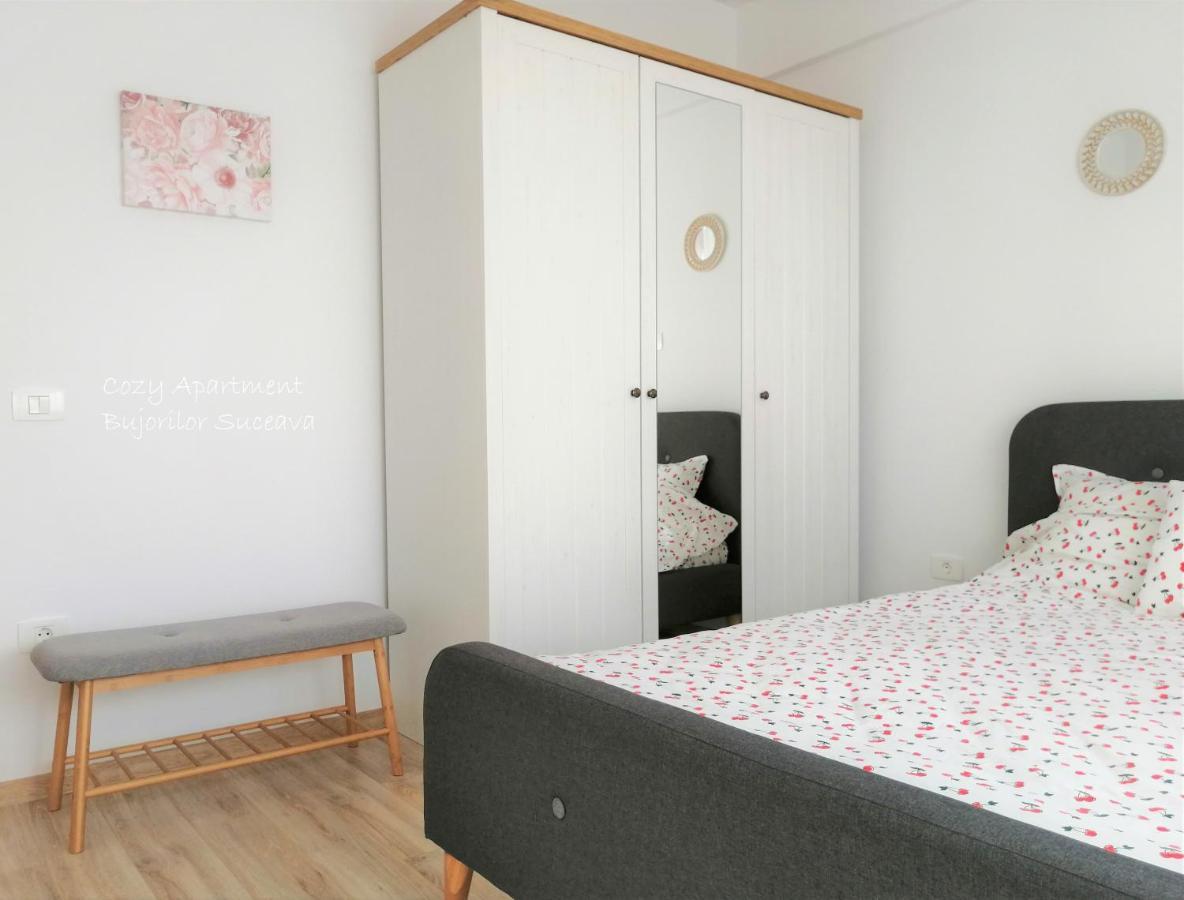 Cozy Apartment Bujorilor Suceava Extérieur photo