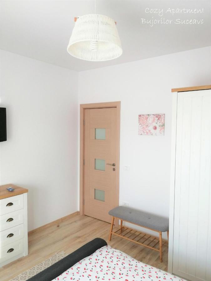 Cozy Apartment Bujorilor Suceava Extérieur photo
