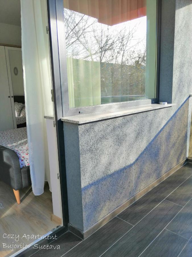 Cozy Apartment Bujorilor Suceava Extérieur photo