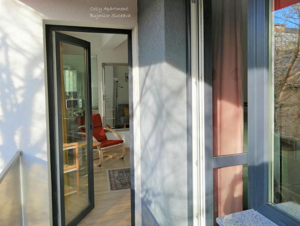 Cozy Apartment Bujorilor Suceava Extérieur photo