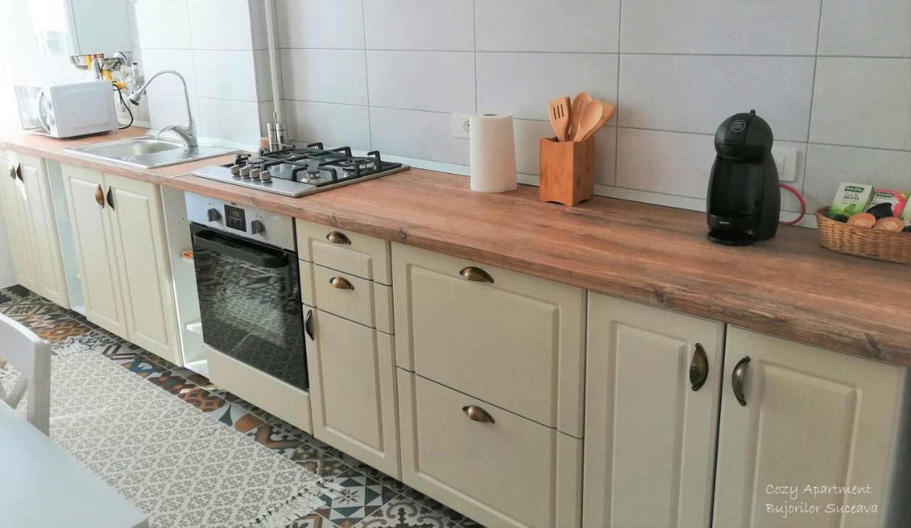 Cozy Apartment Bujorilor Suceava Extérieur photo