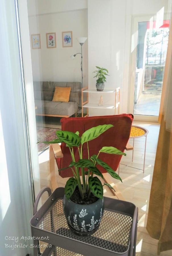 Cozy Apartment Bujorilor Suceava Extérieur photo