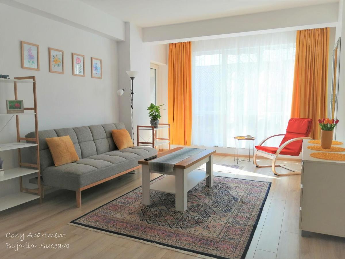 Cozy Apartment Bujorilor Suceava Extérieur photo