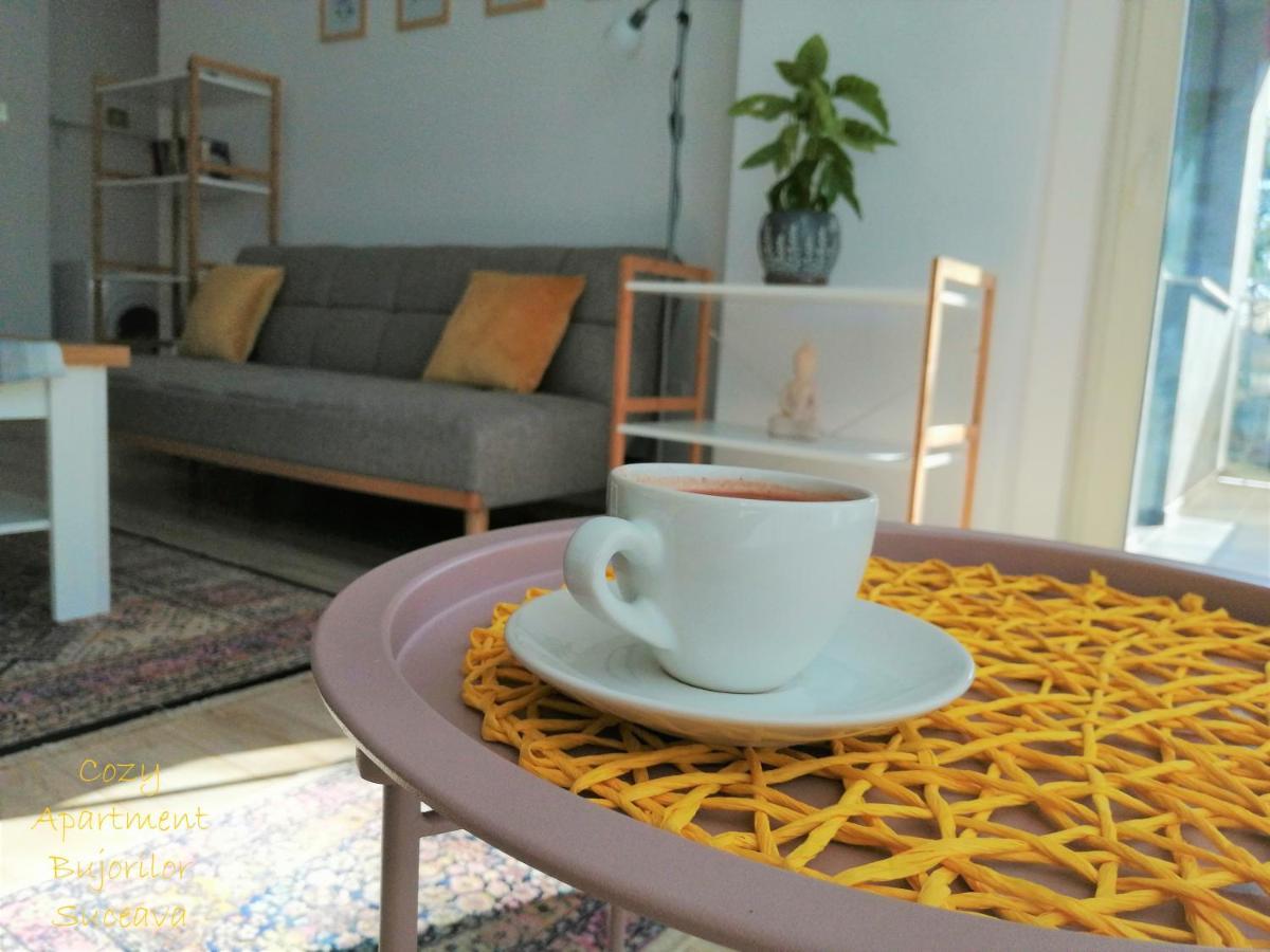 Cozy Apartment Bujorilor Suceava Extérieur photo