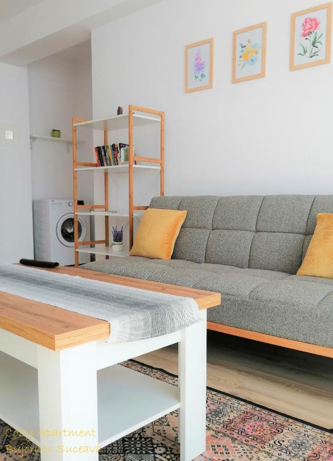 Cozy Apartment Bujorilor Suceava Extérieur photo