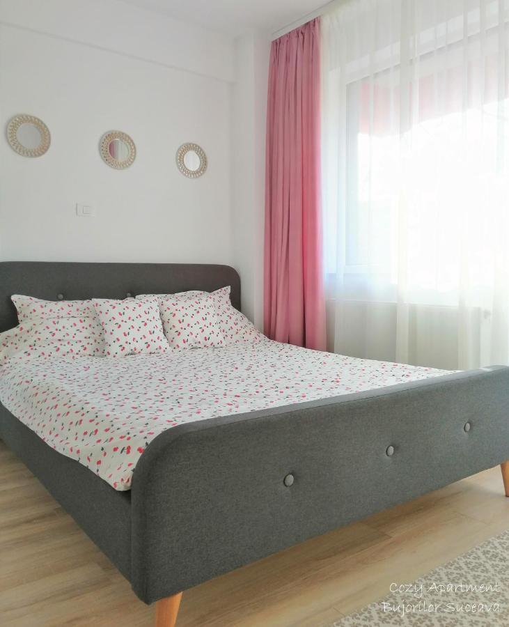 Cozy Apartment Bujorilor Suceava Extérieur photo
