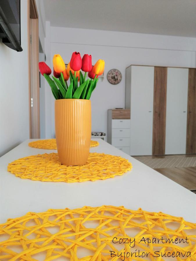 Cozy Apartment Bujorilor Suceava Extérieur photo