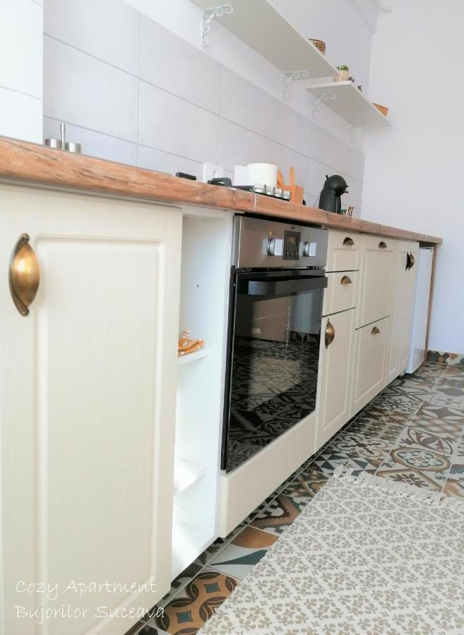 Cozy Apartment Bujorilor Suceava Extérieur photo