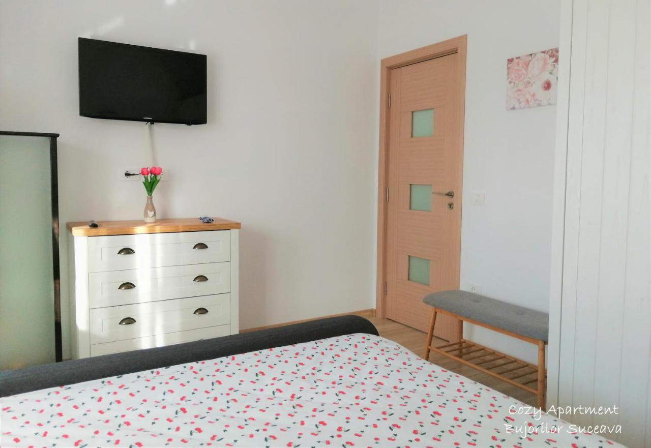 Cozy Apartment Bujorilor Suceava Extérieur photo