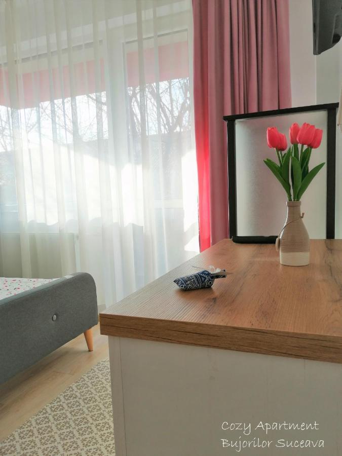 Cozy Apartment Bujorilor Suceava Extérieur photo