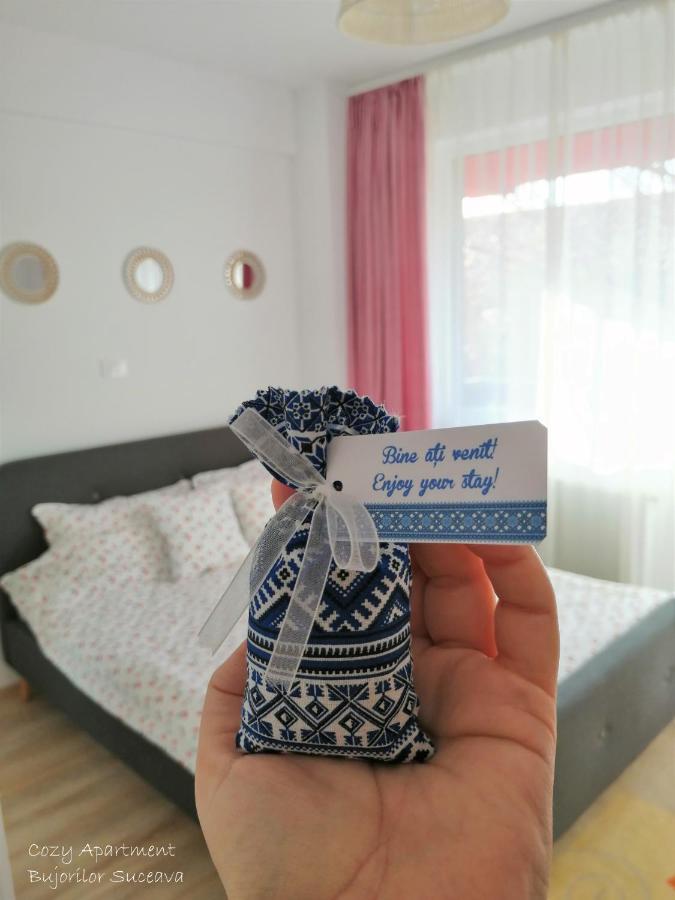 Cozy Apartment Bujorilor Suceava Extérieur photo