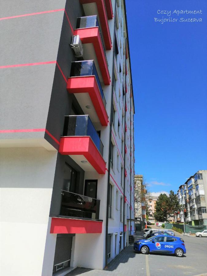 Cozy Apartment Bujorilor Suceava Extérieur photo