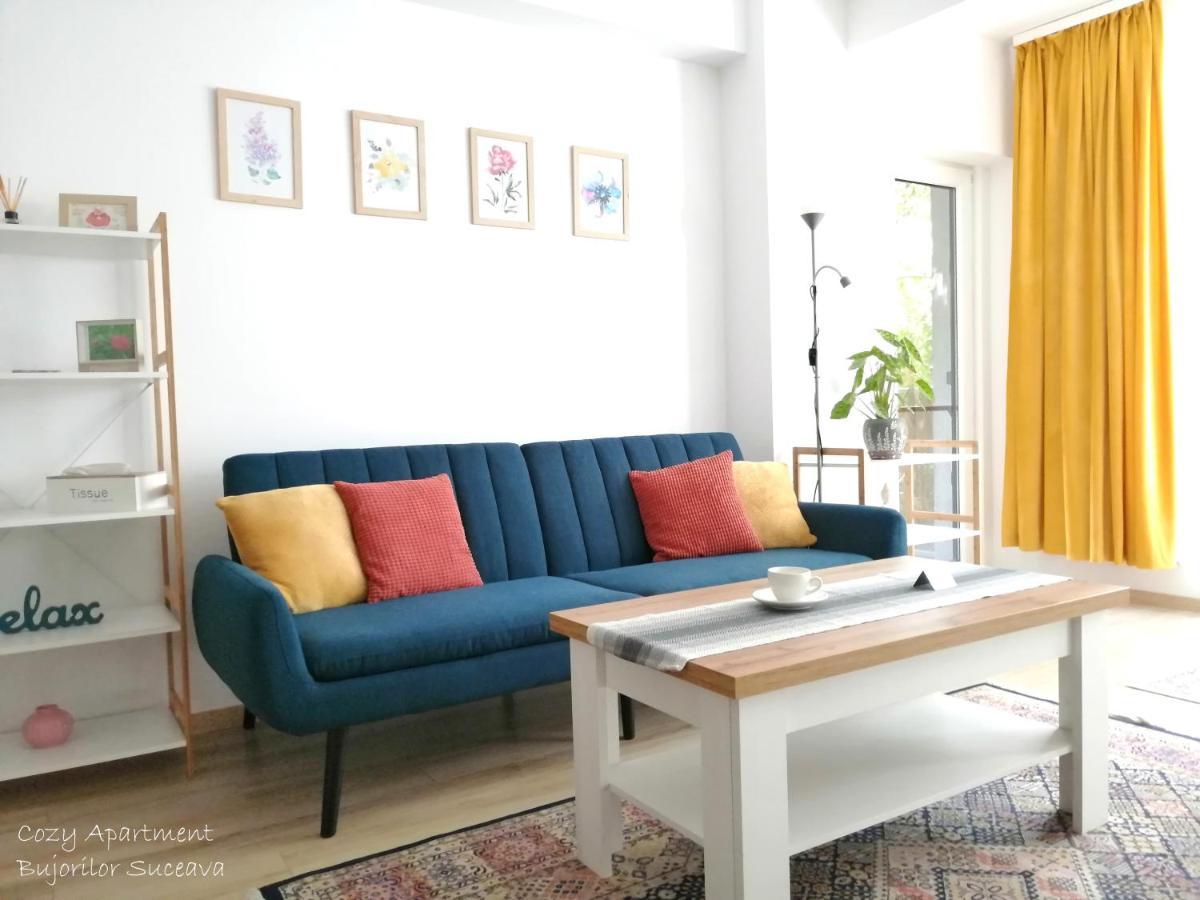 Cozy Apartment Bujorilor Suceava Extérieur photo
