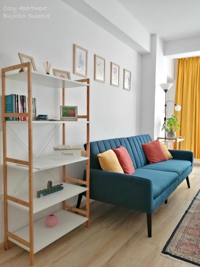 Cozy Apartment Bujorilor Suceava Extérieur photo